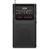 Radio portátil spc icy max/ a pilas/ negra